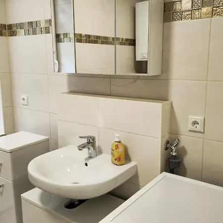 公寓 Berg Mitten Im Erzgebirge