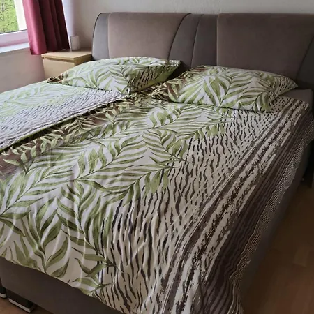 Apartment Berg Mitten Im Erzgebirge Annaberg-Buchholz