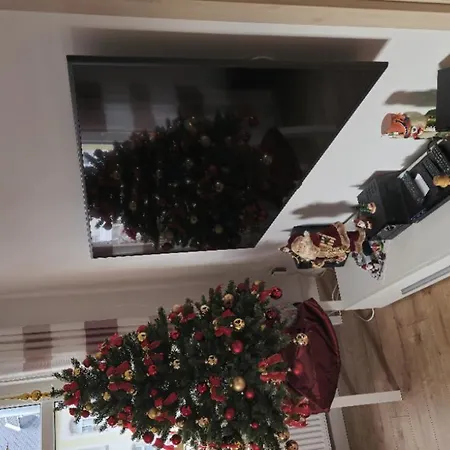 Berg Mitten Im Erzgebirge *