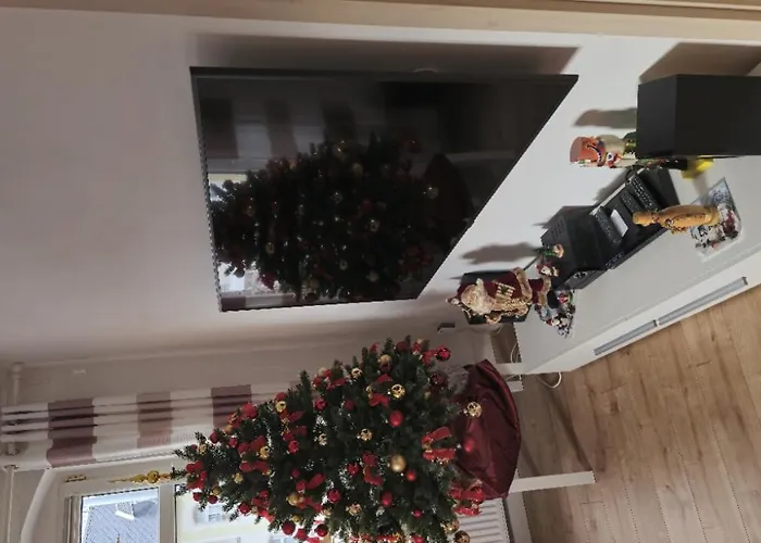 Berg Mitten Im Erzgebirge *